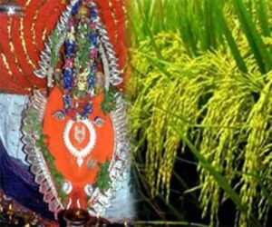 ନୂଆ ଖାଇ ଜୁହାର