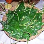 ପାନଖିଆ ରସିକ ପାଟି