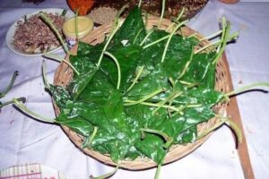 ପାନଖିଆ ରସିକ ପାଟି