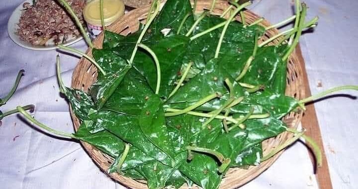ପାନଖିଆ ରସିକ ପାଟି ପାନଖିଆ ରସିକ ପାଟି
