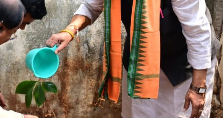 ବିଶ୍ୱ ପରିବେଶ ଦିବସରେ ବିଭିନ୍ନ ସ୍ଥାନରେ ବୃକ୍ଷରୋପଣ କଲା ବିଜେପି
