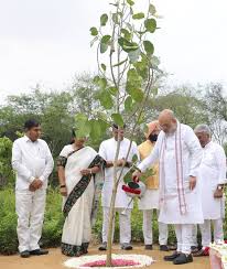 ଏକ ପେଡ଼ ମା’ କେ ନାମ’ ଅଭିଯାନକୁ ମିଳିଲା ନୂଆ ଗତି; ଦିଲ୍ଲୀରେ ଆରମ୍ଭ ହେଲା ‘ମିଶନ୍ ୭୦ ଲକ୍ଷ ବୃକ୍ଷରୋପଣ’